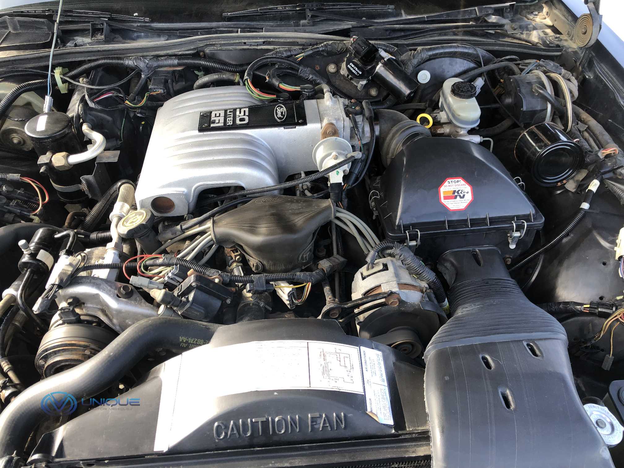 1988 Ford Crown Victoria **ONLY 55,460 ORIGINAL KMS!!** 5.0 V8 | Unique